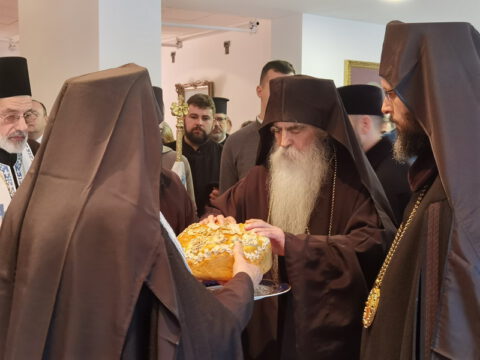 IMG_20240120_120701_resize