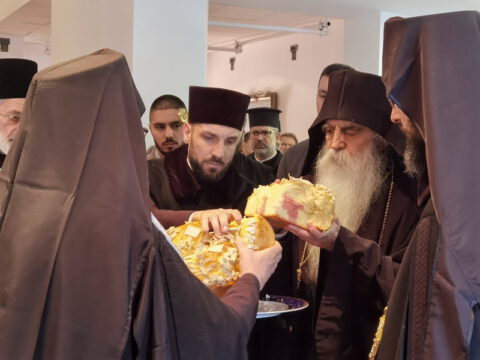 IMG_20240120_120707_resize