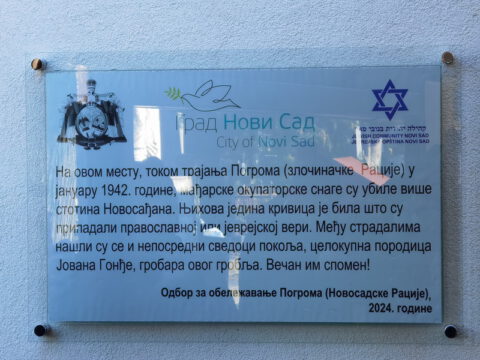 IMG_20240122_115732_resize