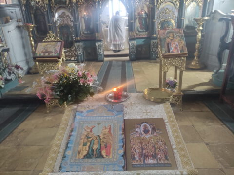 IMG_20240123_090438_resize