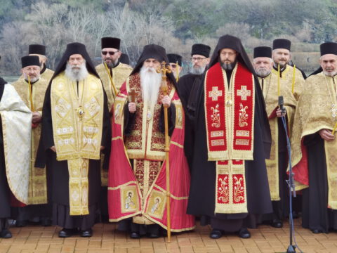 IMG_20240123_115959_resize