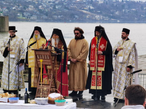 IMG_20240123_121433_resize