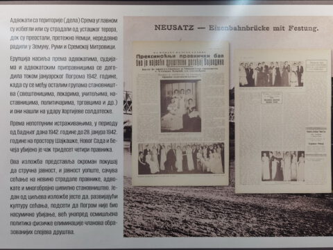 IMG_20240124_122808_resize