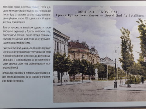 IMG_20240124_122938_resize