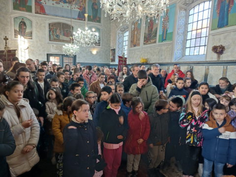 IMG_20240127_090947_resize