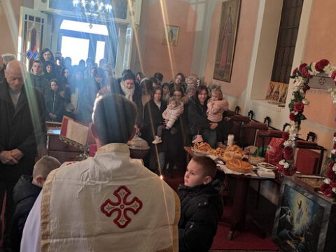 IMG_20240127_092834_resize_resize