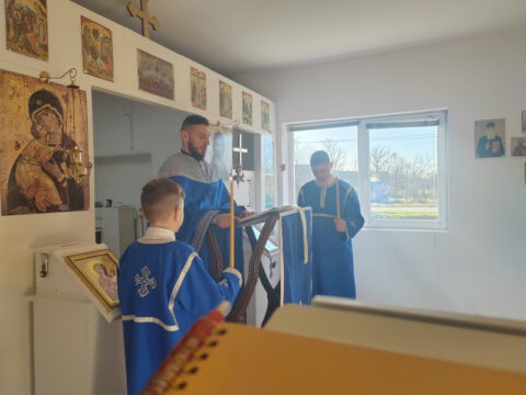 IMG_20240127_093101_resize