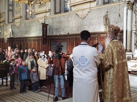 IMG_20240127_094445_resize