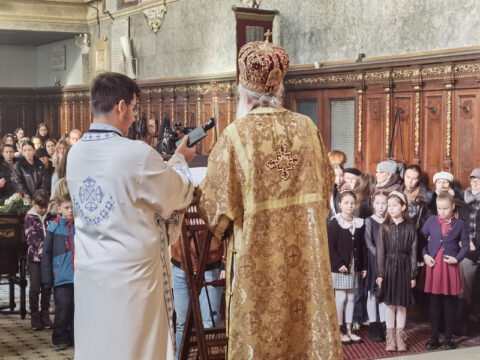 IMG_20240127_094534_resize