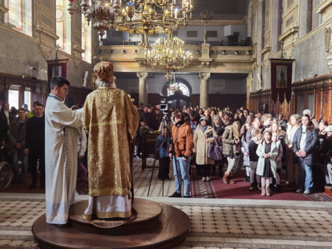 IMG_20240127_095853_resize