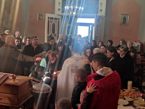 IMG_20240127_100519_resize_resize