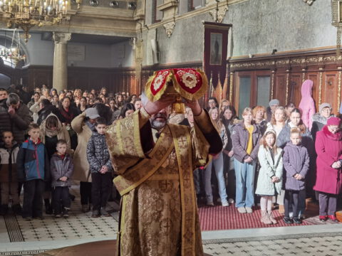 IMG_20240127_101754_resize