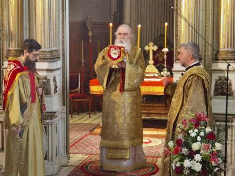 IMG_20240127_101843_resize