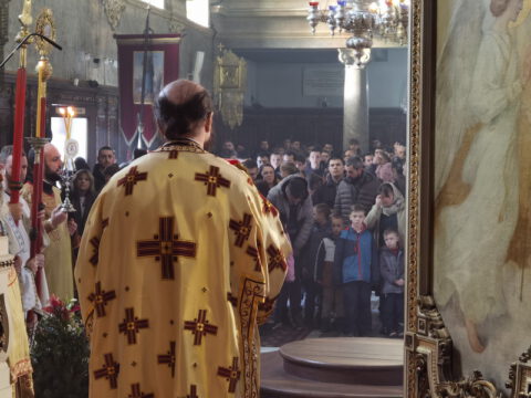 IMG_20240127_101923_resize