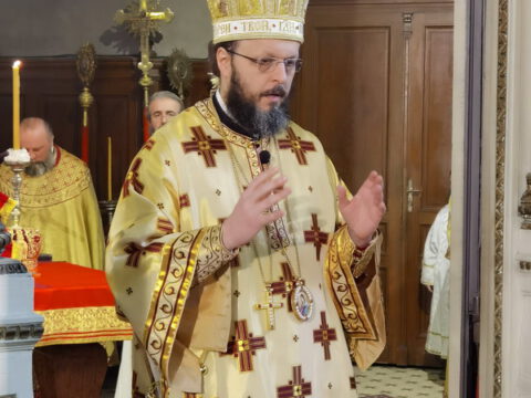 IMG_20240127_102406_resize