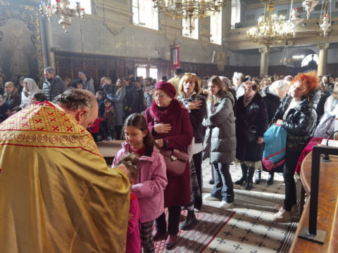 IMG_20240127_110558_resize