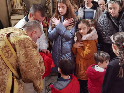 IMG_20240127_110713_resize