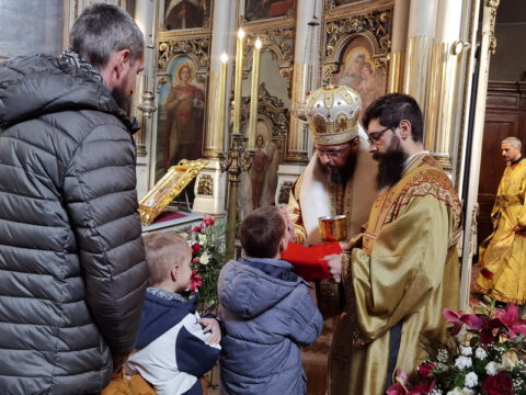 IMG_20240127_110742_resize