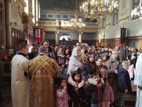 IMG_20240127_110750_resize