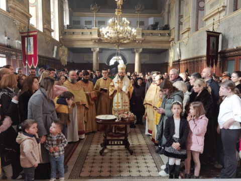 IMG_20240127_111951_resize