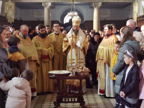 IMG_20240127_112033_resize