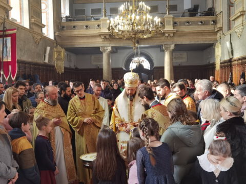 IMG_20240127_112300_resize