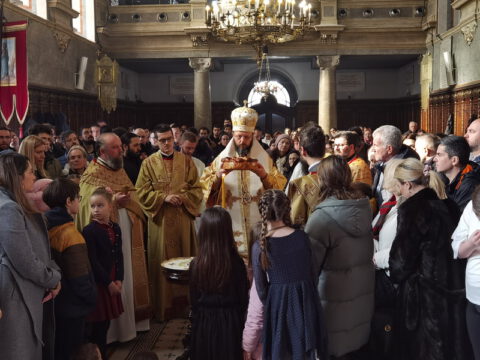 IMG_20240127_112304_resize