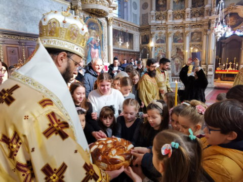 IMG_20240127_112409_resize