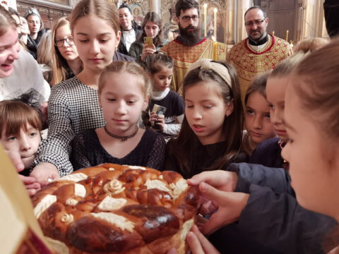 IMG_20240127_112434_resize