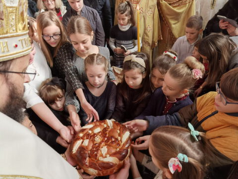 IMG_20240127_112450_resize