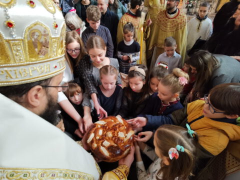 IMG_20240127_112453_resize