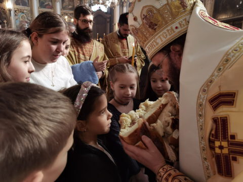 IMG_20240127_112549_resize