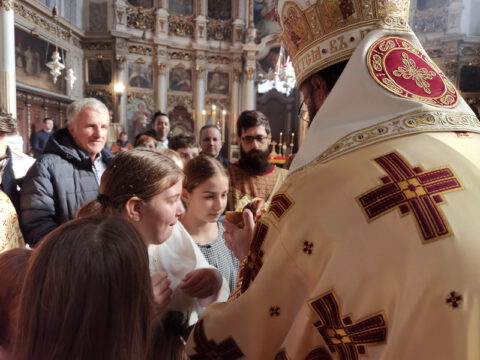 IMG_20240127_112557_resize