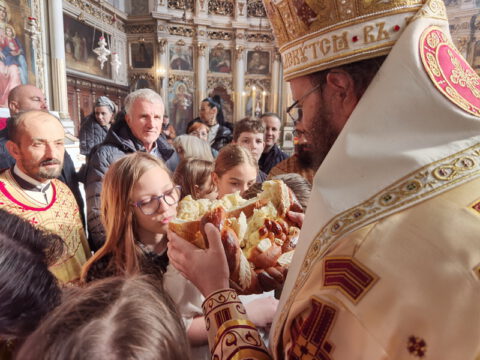 IMG_20240127_112603_resize