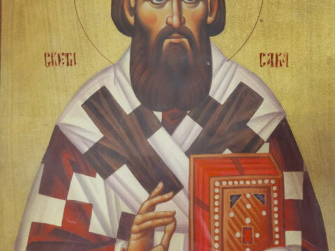 IMG_20240127_112953_resize