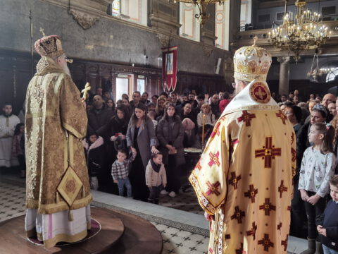 IMG_20240127_113224_resize