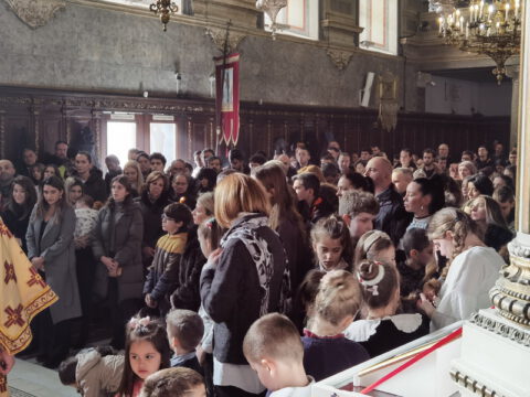 IMG_20240127_113247_resize