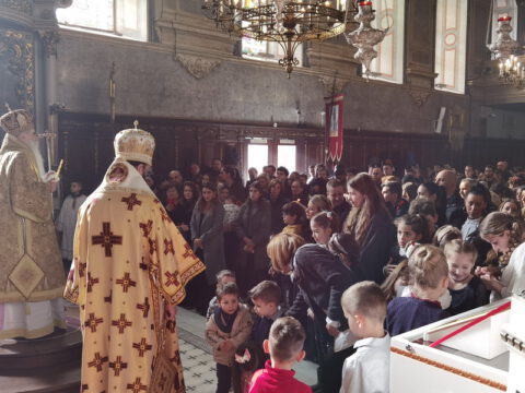 IMG_20240127_113254_resize