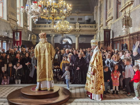 IMG_20240127_113347_resize