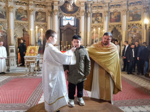 IMG_20240127_113634_resize