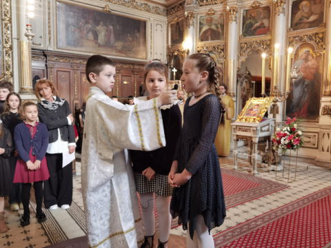 IMG_20240127_114554_resize