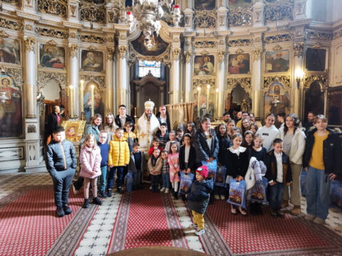 IMG_20240127_115229_resize