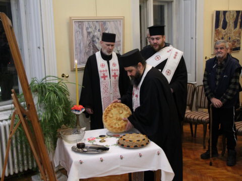 IMG_2084_resize_resize