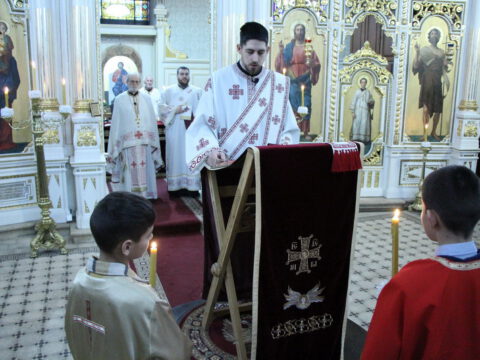 IMG_2174_resize_resize