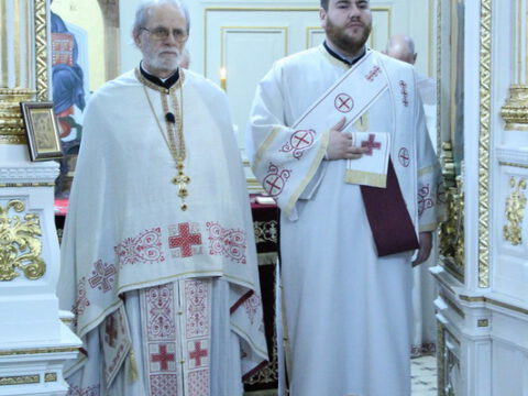 IMG_2178_resize_resize