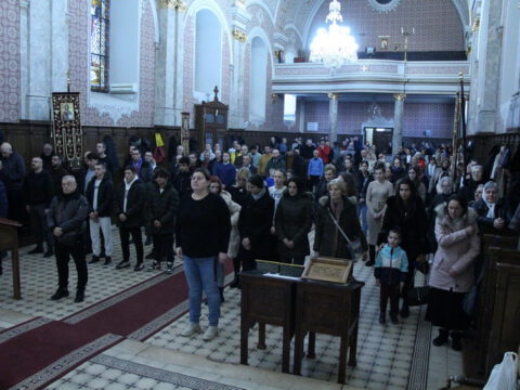 IMG_2185_resize_resize