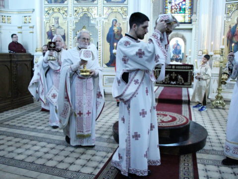 IMG_2193_resize_resize