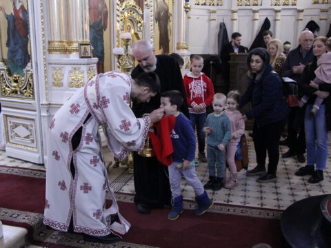 IMG_2218_resize_resize