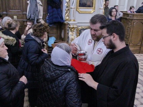 IMG_2221_resize_resize