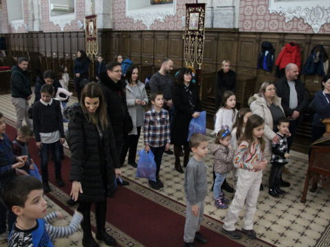 IMG_2253_resize_resize